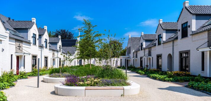 Foto van gehele straat, met beplanting centraal.